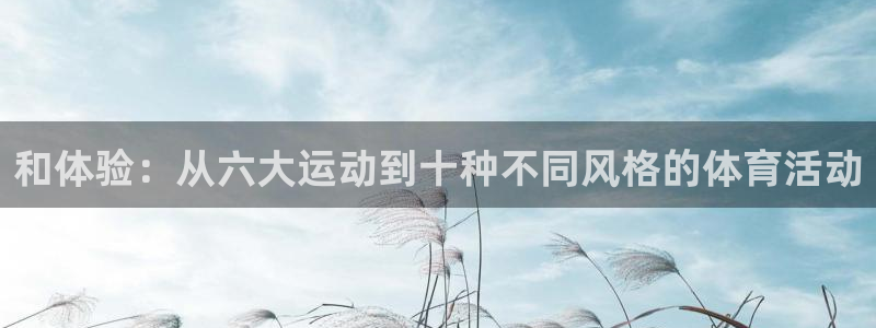 风速体育nba直播