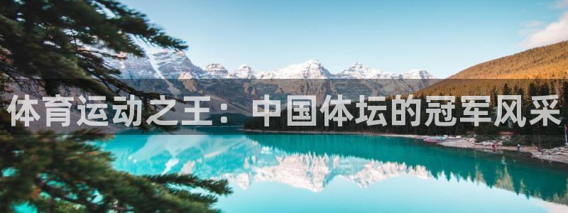 风速体育app下载安装最新版本