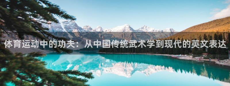 风速体育