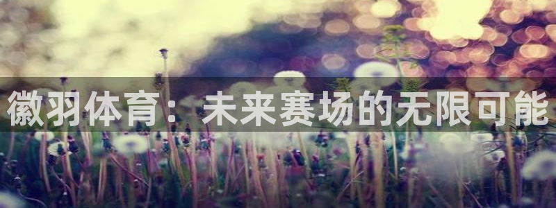风速体育直播app