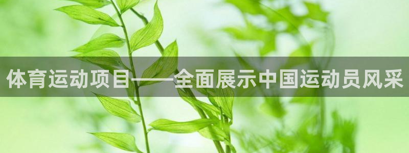 下载风速体育