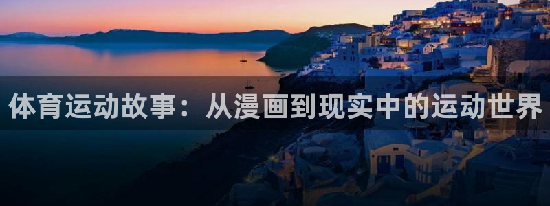 风速体育