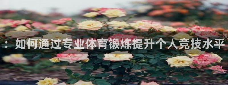 风速体育app