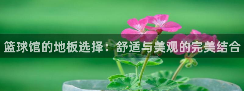 风速体育app官方下载