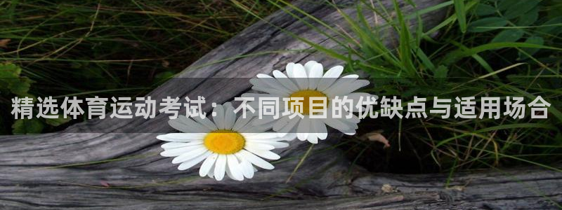风速体育官网