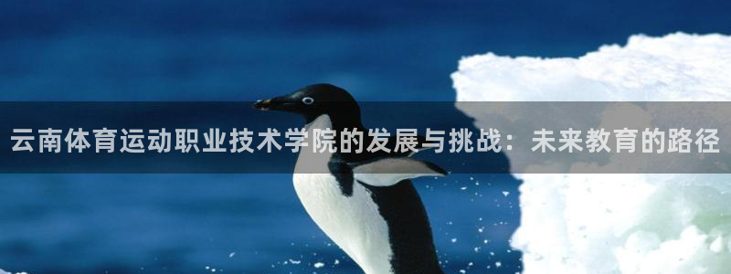 风速体育官网