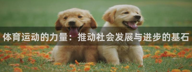 风速体育app
