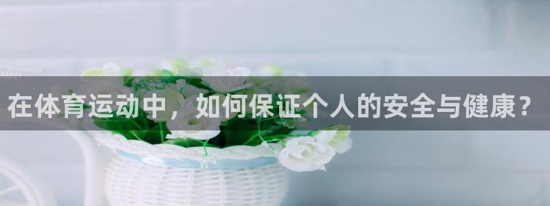 风速体育官网