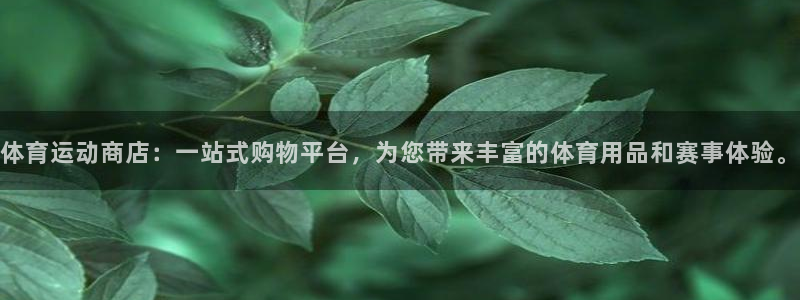 风速体育app下载官网最新版