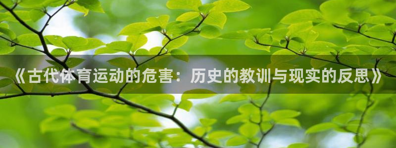 风速体育直播app