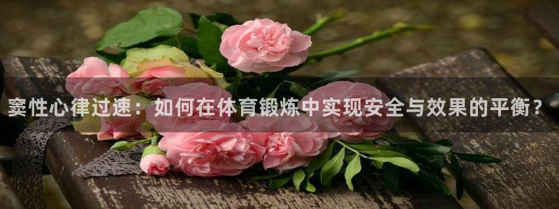下载风速体育