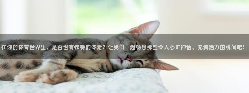 下载风速体育