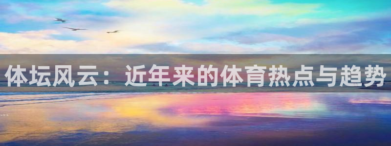 风速体育